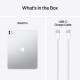Планшет Apple iPad Pro 13