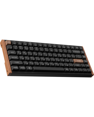 Клавіатура Keychron K2 HE Magnetic Switch Black RGB (K2H-F1-UA)