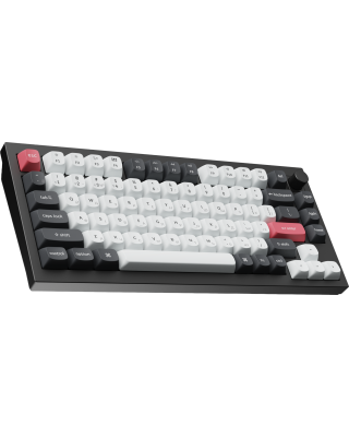 Клавіатура Keychron Q1 HE Magnetic Switch Black RGB (Q1H-M1-UA)