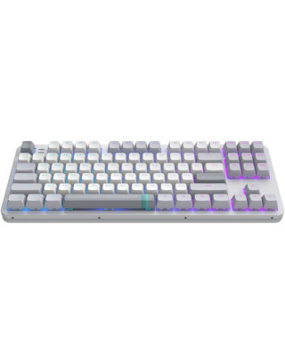 Клавиатура Dark Project ALU87 Daylight ABS RGB Mech G3MS Zircon White/Grey (DPKB_DAYLIGHT_87_ANSI_UA)