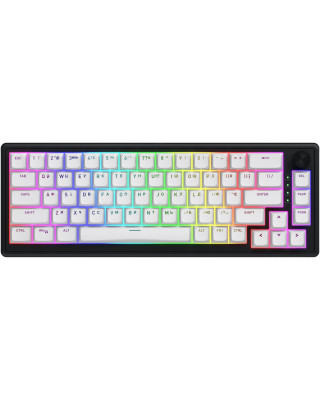 Клавиатура Hator Skyfall 65 MAG ULTRA 8K Aurum Ice RGB USB UA Black/White (HTK1860UA)