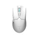 Мышка Thunderobot ML602 SE Dual Mode wireless (ML602SE)