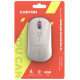 Мишка Canyon MW-22 Dual Band RGB Wireless Rice (CNS-CMSW22RC)