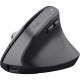 Мишка Trust Bayo 2 Ergonomic Wireless/USB-A White (25146)