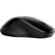 Мышь HP 250 Dual Mode Black (6V2J7AA)