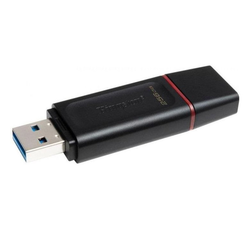 USB флеш накопичувач Kingston 256GB DataTraveler Exodia Black/Pink USB 3.2 (DTX/256GB)