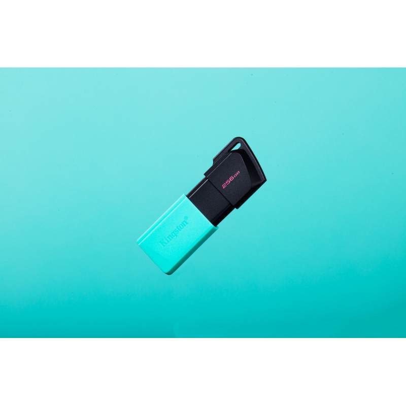 USB флеш накопичувач Kingston 256GB DataTraveler Exodia M USB 3.2 (DTXM/256GB)