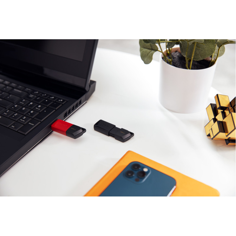 USB флеш накопичувач Kingston 256GB DataTraveler Exodia M USB 3.2 (DTXM/256GB)