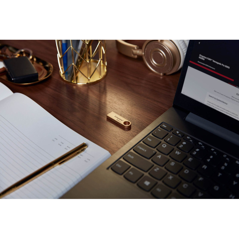 Флешка USB Kingston DataTraveler SE9 G3 256GB Gold (DTSE9G3/256GB)
