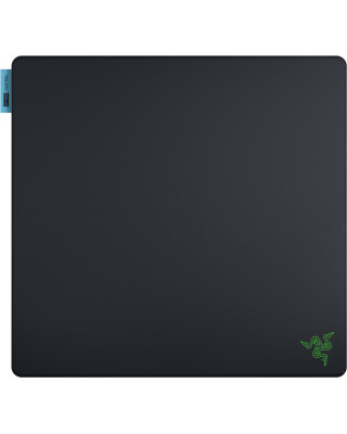 Ігрова поверхня RAZER Gigantus V2 PRO L Сontrol (RZ02-05490400-R3M1)