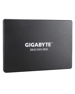 SSD накопитель GIGABYTE GP-GSTFS31256GTND