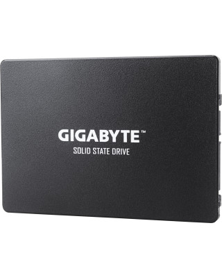 Накопитель SSD Gigabyte 1TB (GP-GSTFS31100TNTD)