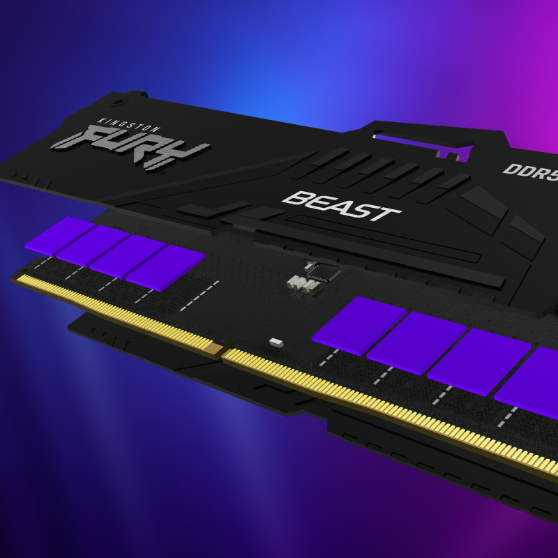 Модуль пам'яті Kingston FURY Beast RGB Black DDR5-5600 128GB (2x64GB) (KF556C40BBAK2-128)