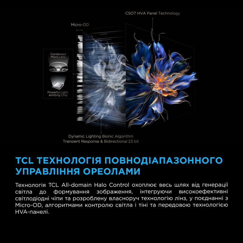 Телевизор TCL 55C6K