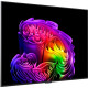 Телевізор LG OLED55G64LW