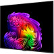 Телевізор LG OLED55G64LW