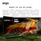 Телевізор ERGO 55JUQ7555